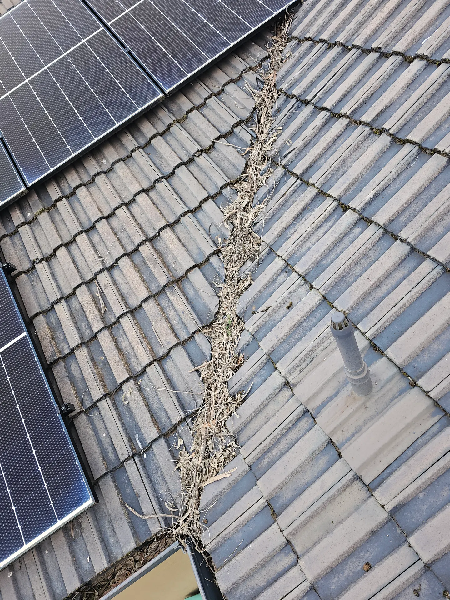 Roof valley on a tiled home packed with gum leaves before PVS Plumbing cleared it